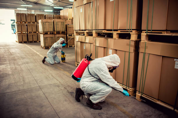 Best Best Pest Control Companies  in East Palestine, OH
