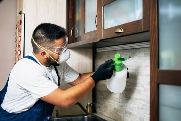 Best Pest Control for Restaurants  in East Palestine, OH