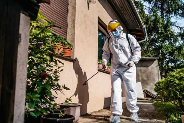 Best Wildlife Control Services  in East Palestine, OH