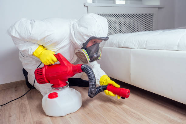 Best Flea Control Services  in East Palestine, OH