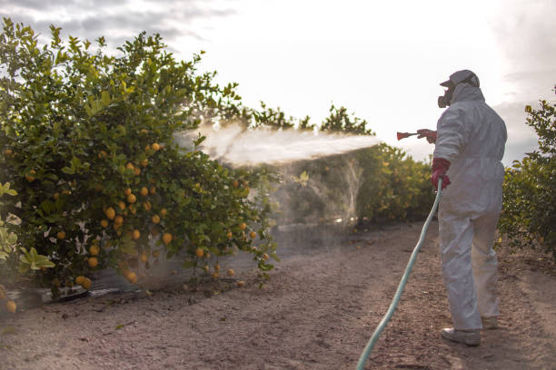 Best Best Pest Control Companies  in East Palestine, OH