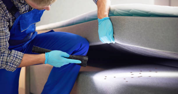 Best Wasp Removal Services  in East Palestine, OH