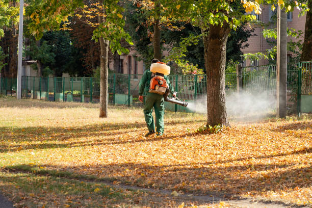 Best Commercial Pest Control Services  in East Palestine, OH