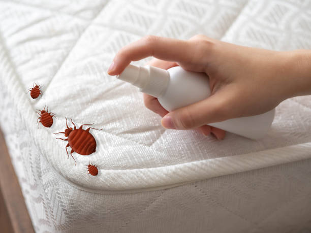 Best Wasp Removal Services  in East Palestine, OH