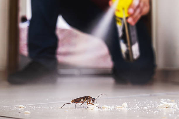 Best Pest Removal Services  in East Palestine, OH