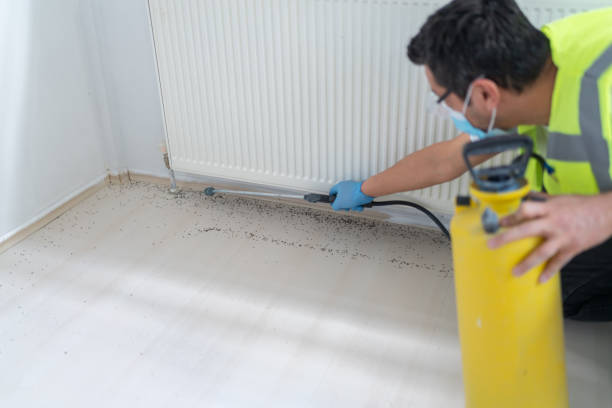 Best Pest Inspection Near Me  in East Palestine, OH